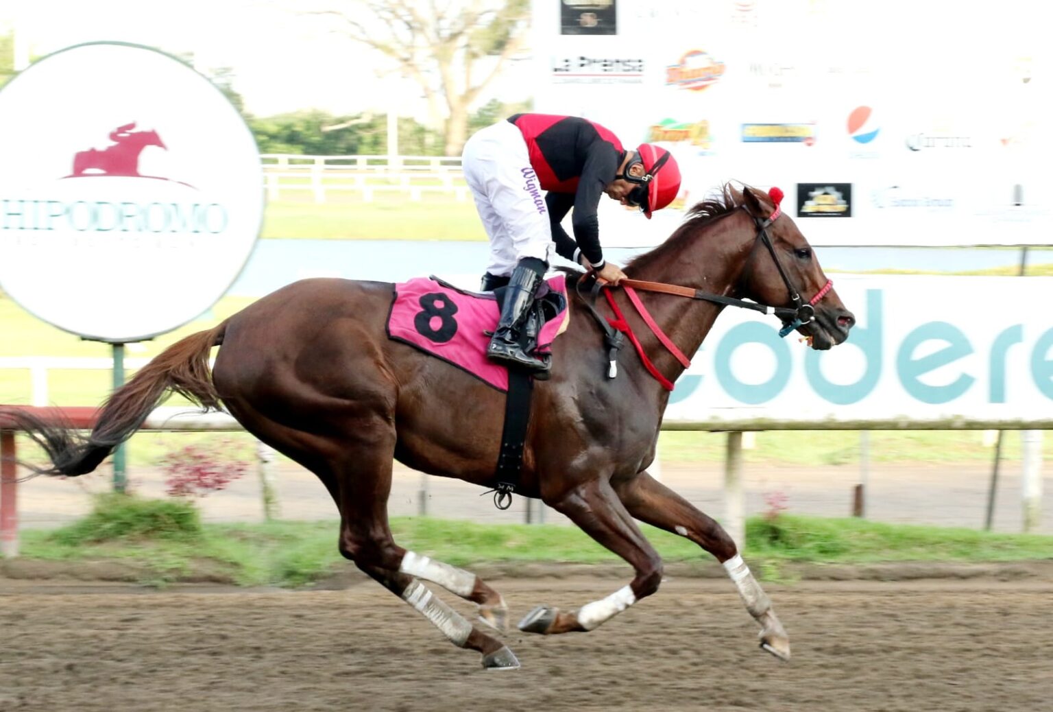 ‘Capocostello’ se lleva el Año Nuevo con récord de pista