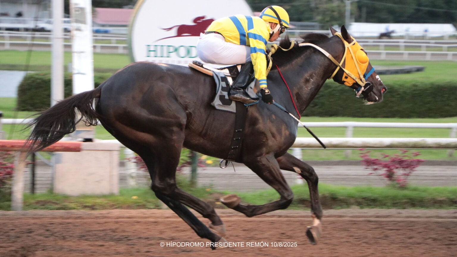 First Front se lleva el premio Virgilio y Omar Castillo