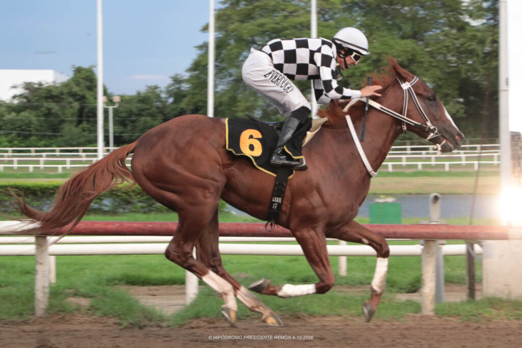 Dandy del Peligro domina Copa de Oro y apunta al Confraternidad del Caribe